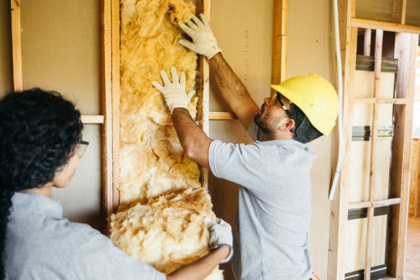 Garage Insulation Installation in University Of Pittsburgh Johnstown, PA