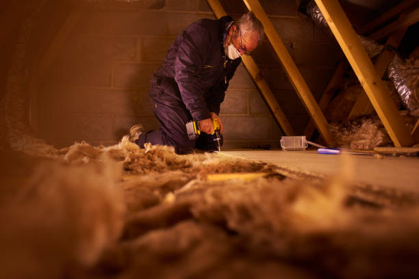 Best Local Insulation Services  in University Of Pittsburgh Johnstown, PA