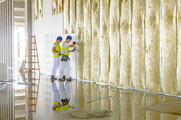 Best Energy-efficient Insulation  in University Of Pittsburgh Johnstown, PA